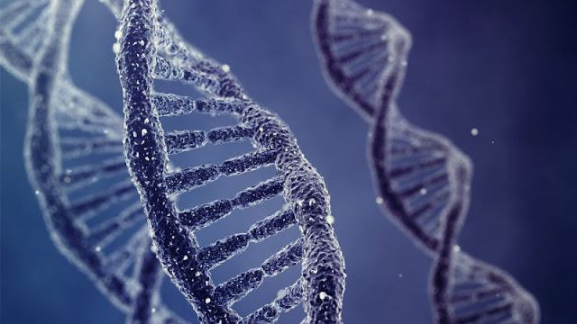 Νέα γονίδια υποστηρίζει ότι ανακάλυψε ομάδα ερευνητών! Διχασμένοι οι επιστήμονες! - Φωτογραφία 1