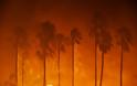 Kύπρος: Κάηκαν 200 φοινικόδεντρα – Ο απολογισμός της πυρκαγιάς στο Τραχώνι