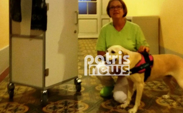 Πρώην αδέσποτο στον Πύργο έγινε σκύλος θεραπείας στην Ελβετία! - Φωτογραφία 1