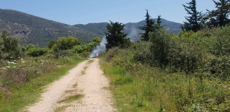 Βόνιτσα: Η άμεση επέμβαση της πυροσβεστικής πρόλαβε την εξάπλωση της Φωτιάς - Φωτογραφία 3
