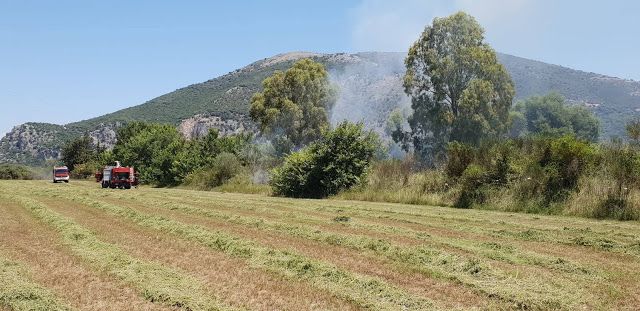 Βόνιτσα: Η άμεση επέμβαση της πυροσβεστικής πρόλαβε την εξάπλωση της Φωτιάς - Φωτογραφία 5