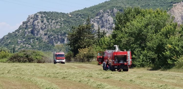 Βόνιτσα: Η άμεση επέμβαση της πυροσβεστικής πρόλαβε την εξάπλωση της Φωτιάς - Φωτογραφία 7