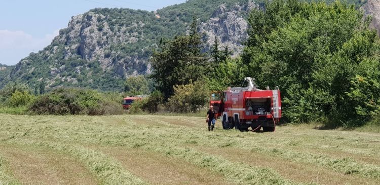 Βόνιτσα: Η άμεση επέμβαση της πυροσβεστικής πρόλαβε την εξάπλωση της Φωτιάς - Φωτογραφία 8