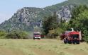 Βόνιτσα: Η άμεση επέμβαση της πυροσβεστικής πρόλαβε την εξάπλωση της Φωτιάς - Φωτογραφία 7