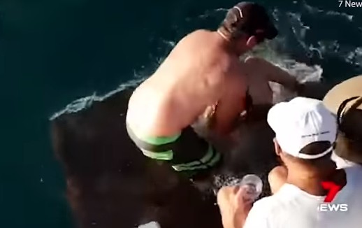 Τουρίστρια πάει να ταϊσει καρχαρία και εκείνος την αρπάζει από το δάχτυλο και την παρασύρει! [video] - Φωτογραφία 1