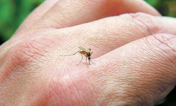 Ποια συμπτώματα μπορούν να υποδηλώνουν ότι είμαστε αλλεργικοί στο τσίμπημα κουνουπιού; - Φωτογραφία 1