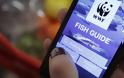 Fish Guide: Καταναλωτές και σεφ μαθαίνουν για τα απαγορευμένα θαλασσινά