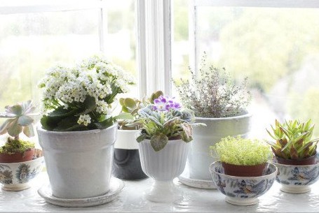 7 υπέροχοι τρόποι να διακοσμήσετε τα παράθυρά σας αυτό το καλοκαίρι! - Φωτογραφία 1