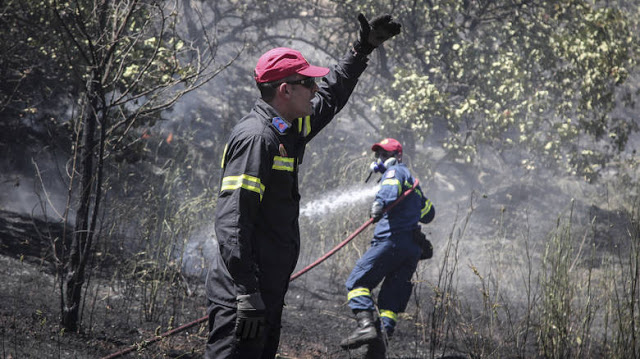 Υπό μερικό έλεγχο η φωτιά στη Κάρυστο - Δεν απειλεί κατοικημένες περιοχές! - Φωτογραφία 1