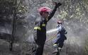 Υπό μερικό έλεγχο η φωτιά στη Κάρυστο - Δεν απειλεί κατοικημένες περιοχές!