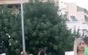 Χαραλαμπίδου και Τζώρτζογλου στην φαντασμαγορικό fashion show του Βασίλειου Κωστέτσου (PHOTOS+VIDEO) - Φωτογραφία 4