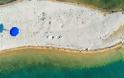 «Καρύδι»: Σε αυτή την παραλία με την ψιλή λευκή άμμο, τα πεύκα φτάνουν μέχρι τη θάλασσα - Φωτογραφία 1