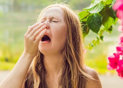 Αλλεργίες το καλοκαίρι: Ποιοι κινδυνεύουν και τι πρέπει να κάνουν - Φωτογραφία 1