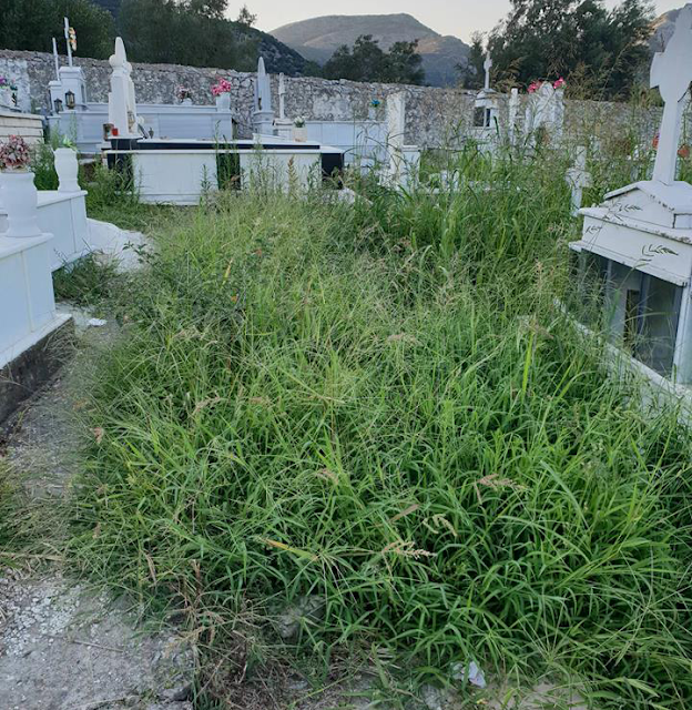 Αγριόχορτα πνίγουν τους τάφους στο ΒΑΣΙΛΟΠΟΥΛΟ Ξηρομέρου (ΦΩΤΟ) - Φωτογραφία 1