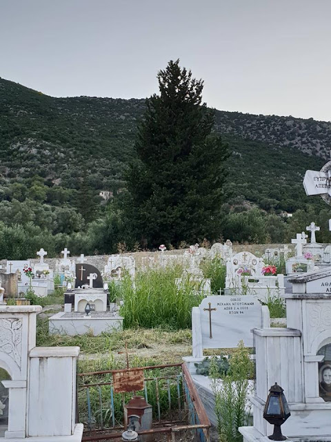Αγριόχορτα πνίγουν τους τάφους στο ΒΑΣΙΛΟΠΟΥΛΟ Ξηρομέρου (ΦΩΤΟ) - Φωτογραφία 14