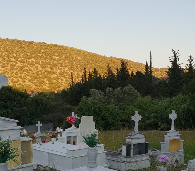 Αγριόχορτα πνίγουν τους τάφους στο ΒΑΣΙΛΟΠΟΥΛΟ Ξηρομέρου (ΦΩΤΟ) - Φωτογραφία 16