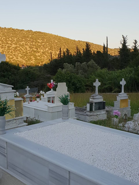 Αγριόχορτα πνίγουν τους τάφους στο ΒΑΣΙΛΟΠΟΥΛΟ Ξηρομέρου (ΦΩΤΟ) - Φωτογραφία 18