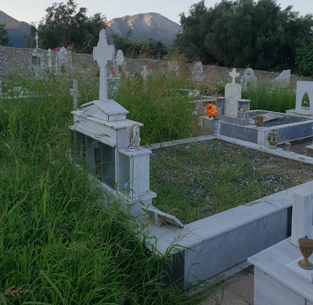 Αγριόχορτα πνίγουν τους τάφους στο ΒΑΣΙΛΟΠΟΥΛΟ Ξηρομέρου (ΦΩΤΟ) - Φωτογραφία 2