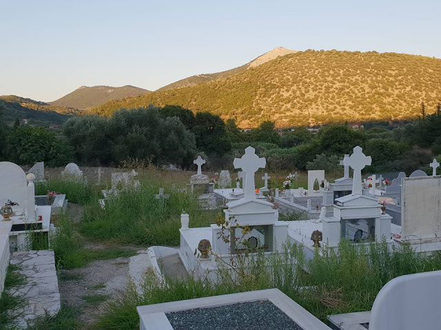Αγριόχορτα πνίγουν τους τάφους στο ΒΑΣΙΛΟΠΟΥΛΟ Ξηρομέρου (ΦΩΤΟ) - Φωτογραφία 20