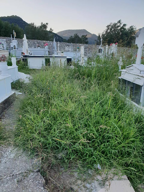 Αγριόχορτα πνίγουν τους τάφους στο ΒΑΣΙΛΟΠΟΥΛΟ Ξηρομέρου (ΦΩΤΟ) - Φωτογραφία 23