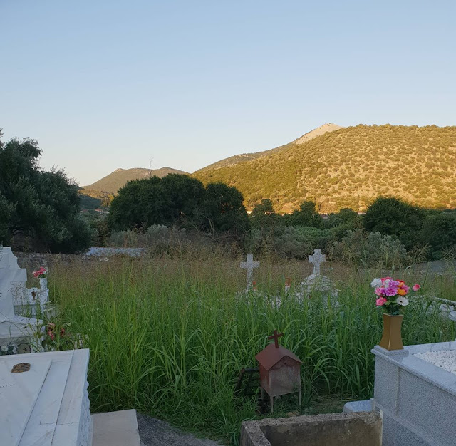 Αγριόχορτα πνίγουν τους τάφους στο ΒΑΣΙΛΟΠΟΥΛΟ Ξηρομέρου (ΦΩΤΟ) - Φωτογραφία 25