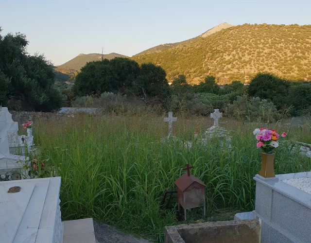 Αγριόχορτα πνίγουν τους τάφους στο ΒΑΣΙΛΟΠΟΥΛΟ Ξηρομέρου (ΦΩΤΟ) - Φωτογραφία 3