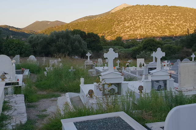 Αγριόχορτα πνίγουν τους τάφους στο ΒΑΣΙΛΟΠΟΥΛΟ Ξηρομέρου (ΦΩΤΟ) - Φωτογραφία 4
