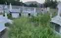 Αγριόχορτα πνίγουν τους τάφους στο ΒΑΣΙΛΟΠΟΥΛΟ Ξηρομέρου (ΦΩΤΟ)