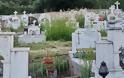 Αγριόχορτα πνίγουν τους τάφους στο ΒΑΣΙΛΟΠΟΥΛΟ Ξηρομέρου (ΦΩΤΟ) - Φωτογραφία 17