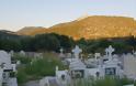 Αγριόχορτα πνίγουν τους τάφους στο ΒΑΣΙΛΟΠΟΥΛΟ Ξηρομέρου (ΦΩΤΟ) - Φωτογραφία 20