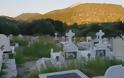 Αγριόχορτα πνίγουν τους τάφους στο ΒΑΣΙΛΟΠΟΥΛΟ Ξηρομέρου (ΦΩΤΟ) - Φωτογραφία 4
