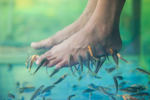 Νεαρή από τη Βρετανία έχασε τα νύχια των ποδιών της από το fish pedicure - Φωτογραφία 1