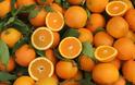 Δεσμεύτηκαν πάνω από δύο τόνοι πορτοκάλια στον Πειραιά