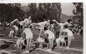 ΚΑΠΟΤΕ: Μαθητές του Γυμνασίου ΒΟΝΙΤΣΑΣ το 1956 σε γυμναστικές επιδείξεις! - Φωτογραφία 2