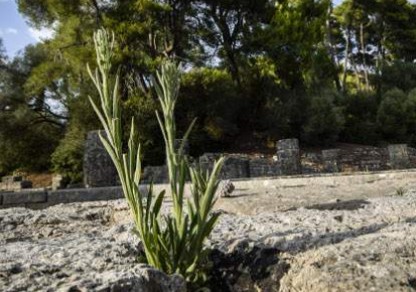 Βρέθηκε πήλινη πλάκα με στίχους της Οδύσσειας στην αρχαία Ολυμπία - Φωτογραφία 1