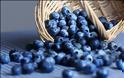 Μύρτιλα (Vaccinium myrtillus) και άγρια μύρτιλα (bilberries) super foods για μεταβολικό σύνδρομο, παχυσαρκία, διαβήτη, καρδιά, καρκίνο, μάτια, αντιγήρανση - Φωτογραφία 1