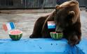 Μουντιάλ 2018: Η αρκούδα «έφαγε» το νικητή του τελικού Γαλλία – Κροατία [photos] - Φωτογραφία 2