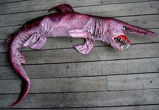 Αυτά είναι τα πιο τρομακτικά πλάσματα της θάλασσας! [photos] - Φωτογραφία 1