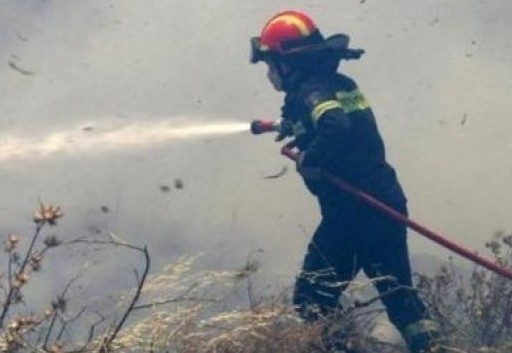 Υπό μερικό έλεγχο οι πυρκαγιές σε Φαλάσαρνα και Αρολίθι - Φωτογραφία 1