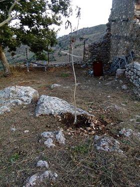 Καραΐσκάκη Ξηρομέρου: Aνεγκέφαλος Kτηνοτρόφος άφησε ελευθέρα τα πρόβατα του μέσα στο προαύλιο χώρο του Ιστορικού Μοναστηριού του Προφήτη Ηλία - Φωτογραφία 8