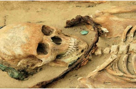 «Τάφοι βαμπίρ»: Αρχαιολόγοι στην Πολωνία βρίσκουν πτώματα που έχουν θαφτεί με δρεπάνια γύρω από το λαιμό - Φωτογραφία 1