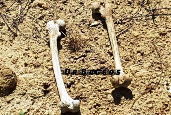 Λίμνη Πηνειού: Εντοπίστηκαν ανθρώπινα οστά! - Φωτογραφία 1
