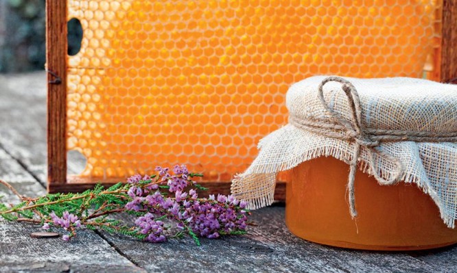 Κολικός νεφρού: Τι ρόλο μπορεί να παίξει το μέλι ρείκι - Φωτογραφία 1