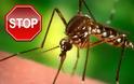 Πώς να προστατευτείτε από τα κουνούπια και απο τις ασθένειες που μεταδίδουν
