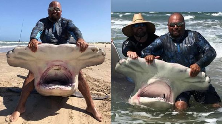 Έπιασε σφυροκέφαλο καρχαρία τεσσάρων μέτρων μόνο με το καλάμι του - Φωτογραφία 2