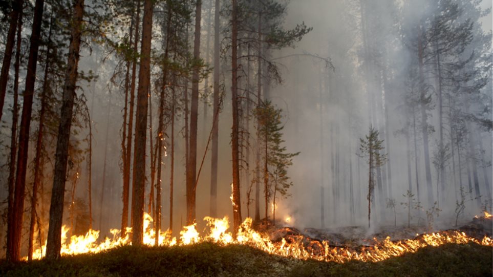 Τεράστιες πυρκαγιές στη Σουηδία - Καύσωνας στην Φινλανδία - Φωτογραφία 1