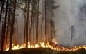 Τεράστιες πυρκαγιές στη Σουηδία - Καύσωνας στην Φινλανδία