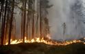 Τεράστιες πυρκαγιές στη Σουηδία - Καύσωνας στην Φινλανδία - Φωτογραφία 4