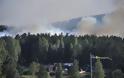 Τεράστιες πυρκαγιές στη Σουηδία - Καύσωνας στην Φινλανδία - Φωτογραφία 7