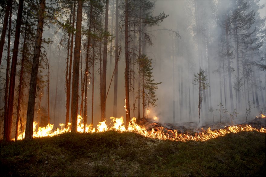 Τεράστιες πυρκαγιές στη Σουηδία - Καύσωνας στην Φινλανδία - Φωτογραφία 4